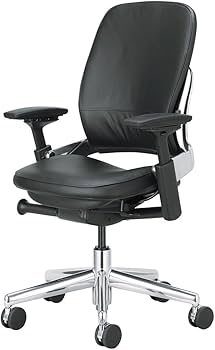 Steelcase スチルケース リープチェア　1個 Steelcase Leap エルゴノミック・オフィスチェア - Steelcase